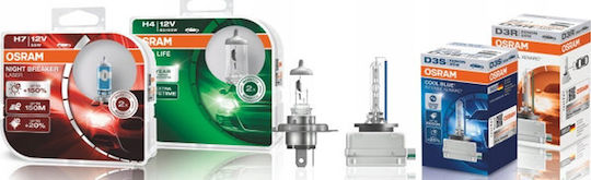 Osram Крушки за автомобил Xenarc Night Breaker 220 D3S Ксенон 4500K Неутрално Бяло 12-24V 35W 2 бр