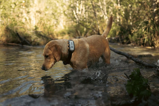 Tractive Dog XL Ηλεκτρικό Κολάρο GPS Σκύλου Adventure Edition