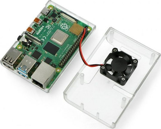 Raspberry Pi Fall
