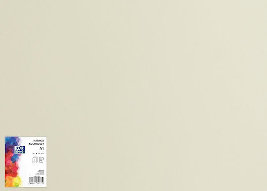 Carton Oxford Oxford A1 160g Gri Deschis Gri Deschis