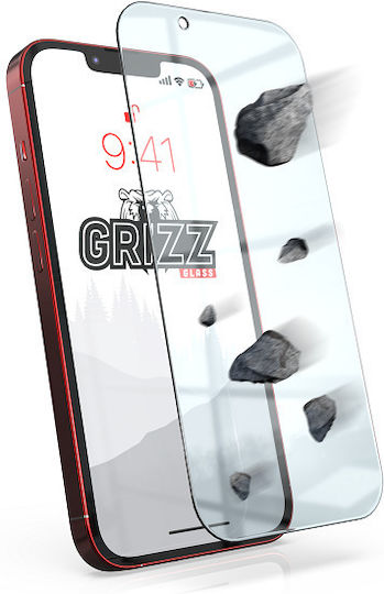 GrizzGlass Закалено стъкло (Realme C65, GrizzGlass)