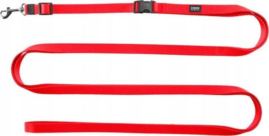 Chaba Work Belt