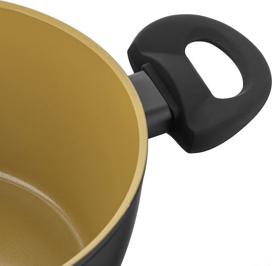 Florina Amvegan Deep Pot Made of Aluminum 4.8lt / 26cm