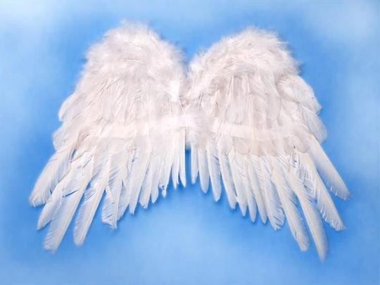 Costum De carnaval Aripi Albe pentru Halloween 1buc