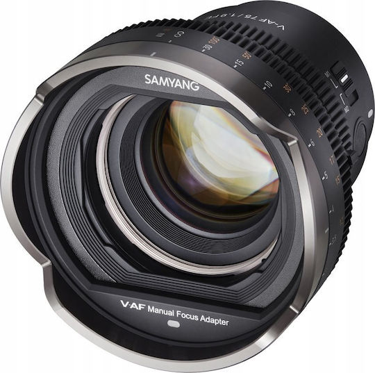 Adapter Mf Samyang Samyang V-af