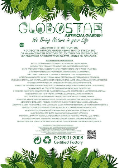 Φτέρη σε Γλάστρα 70cm GloboStar