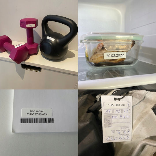 B21 Pro Electronic Label Maker Single with Bluetooth Green