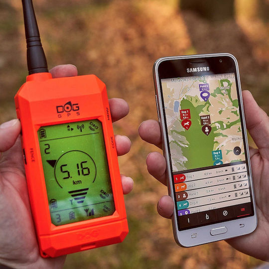 Dog Trace Gps X30t Elektrisches Trainingshalsband für Hunde