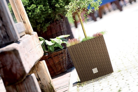 Prosperplast Rato Low Ghiveci Plastic 20x20x20.2cm.