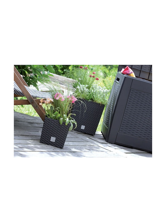 Prosperplast Rato Low Topf Kunststoff 20x20x20.2cm.