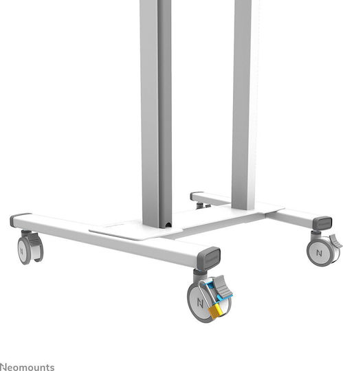 Tv Set Accessory Caster Brake Lock/abl-875 Neomounts