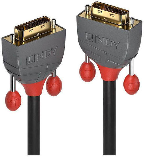 Lindy Cable DVI-D male - DVI-D male 2m Μαύρο (36222)