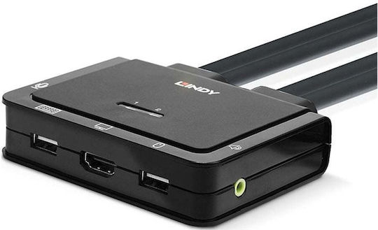 Lindy KVM & Data Switch 42340