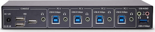 StarTech KVM & Data Switch P4A20132-KM-SWITCH