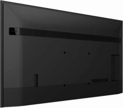 Sony Bravia Professional Displays Public Display LED IPS 4K UHD 55" HDR