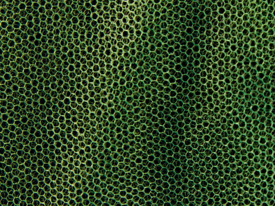 Mfh Mosquito Net Small Olive Green 0.63x2x8 M