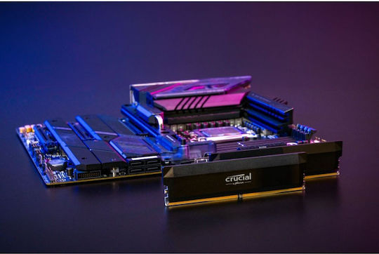 Crucial DDR5 Pro 64GB (2x32GB) メモリ Crucial Pro 64GB DDR5 RAM cu 2 module (2x32GB) și Viteză