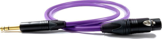 Melodika Cable XLR female - 6.3mm male Μωβ 17m