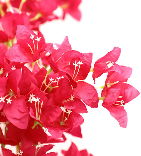 Arbore Artificial de Exterior Bougainvillea Red 170cm Newplan
