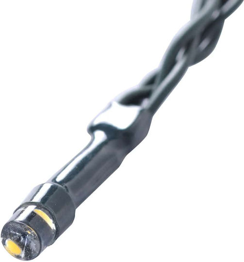Πυξάρι σε Γλάστρα 52cm με LED 2τμχ vidaXL