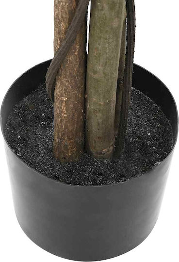 Ficus Lyrata În Ghiveci vidaXL