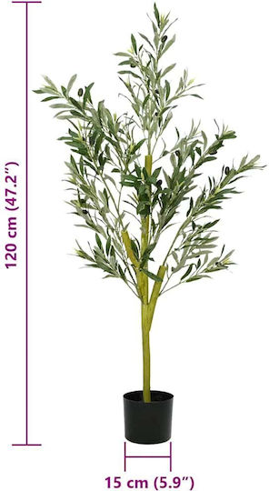 Ελιά Εξωτερικού Χώρου 120cm vidaXL