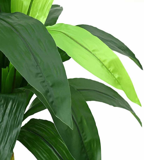 Dracaena În Aer Liber vidaXL Dracaena În Aer Liber vidaXL