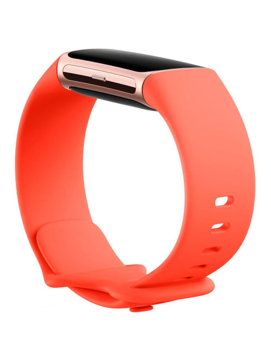 Fitbit Charge 6 Șampanie / Coral