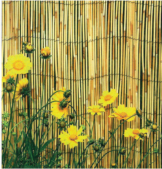 Sidirela Bamboo Fencing with Whole Reed 2x3m
