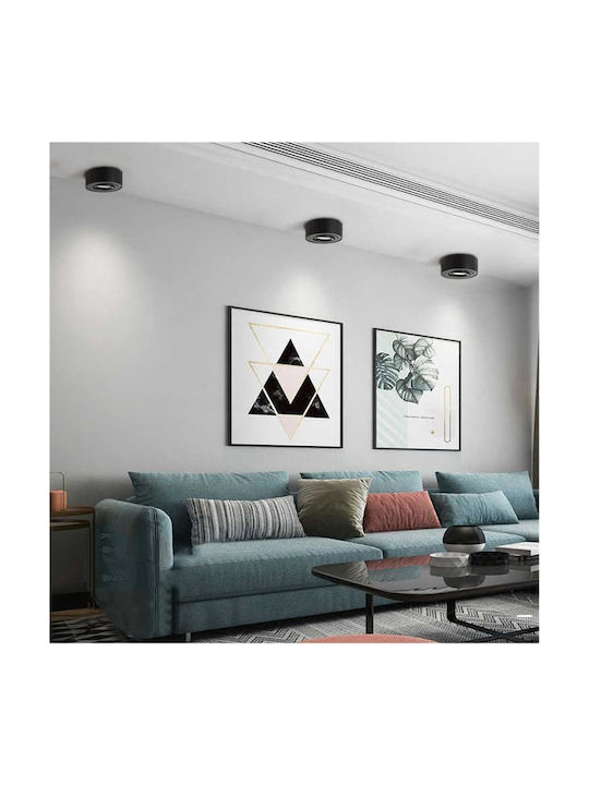 Maclean Energy Single Spot in Black Color