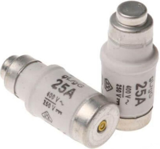 Eurolamp Melting Safety Fuse Neozed Lindner 25A 10τμχ