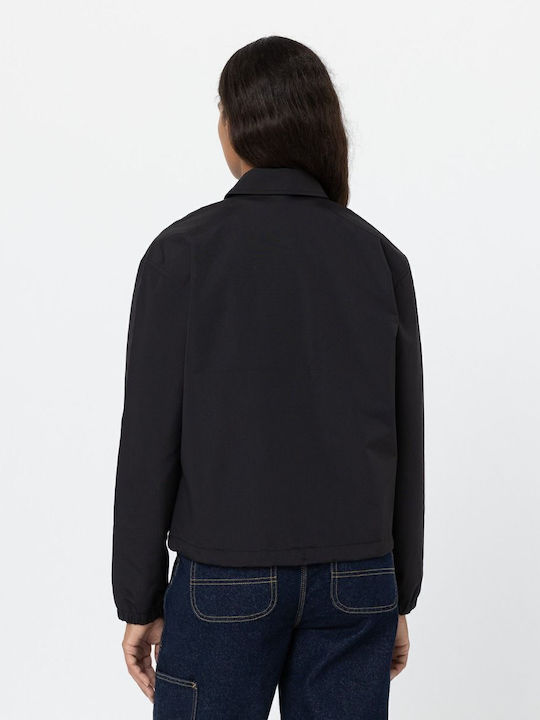 Dickies
