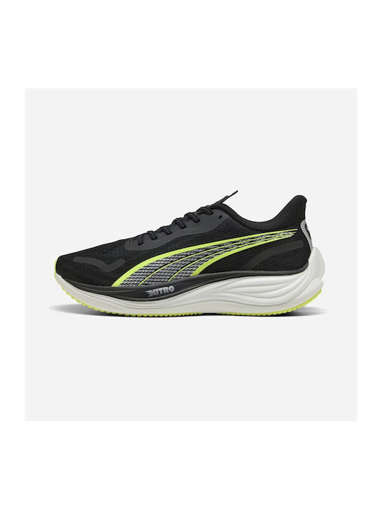 Velocity Nitro 3 Sport Shoes Running Black