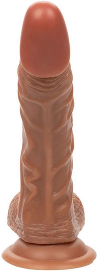 Calexotics Dildo με Όρχεις και Βεντούζα Καφέ 24.25cm