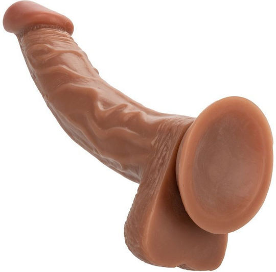 Calexotics Dildo με Όρχεις και Βεντούζα Καφέ 24.25cm