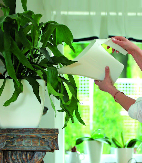 Prosperplast Plastic Watering Can 2lt Gray