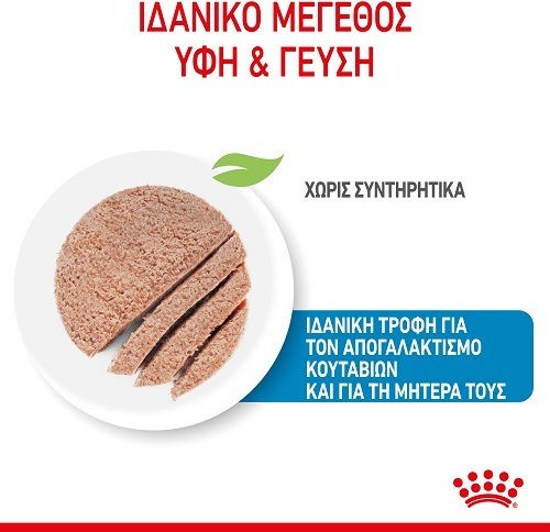 Royal Canin Starter Wet Food for Puppies in Cans Diet with Meat 195gr