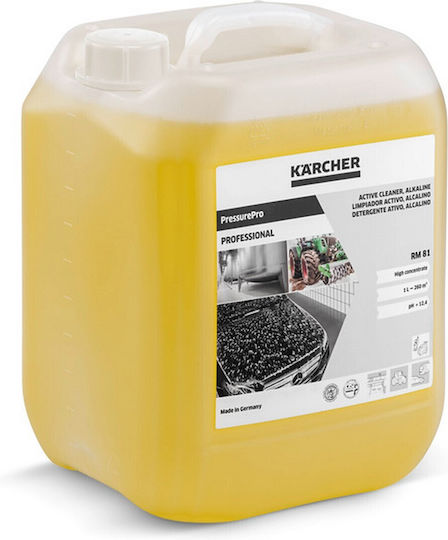 Karcher RM81 Active Pressure Washer Cleaner