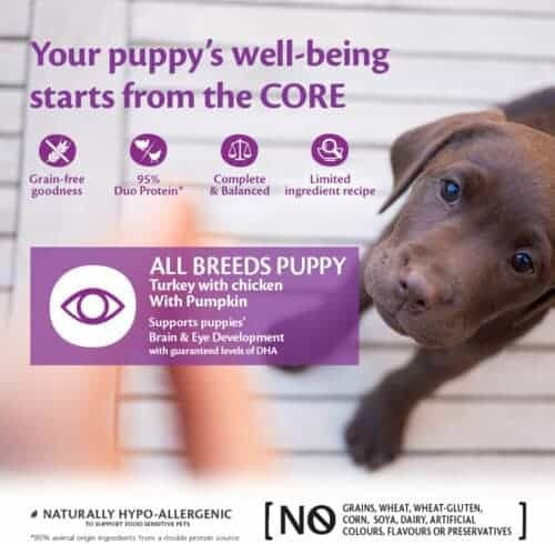 Wellness Core Duo Protein Wet Food for Puppies in Cans with Turkey and Chicken Grain-Free 400gr