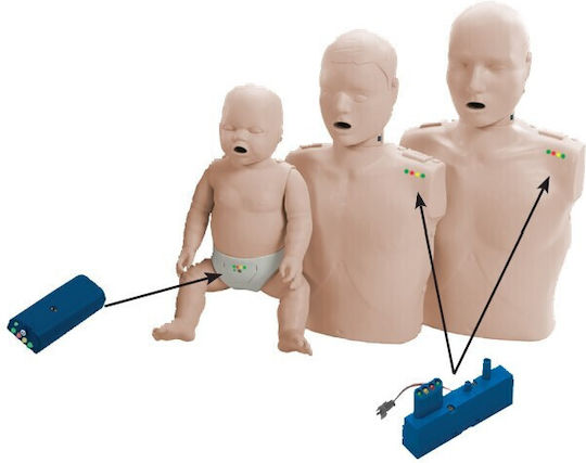 Prestan Adult Aids Interactive Training & CPR Model