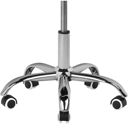 Salon Stools Wheeled Stool with Backrest Black