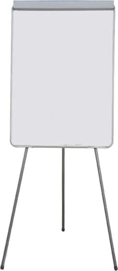 Teloniatis Flip Chart Seminar 60x80 30 Sheets 805.1.00163