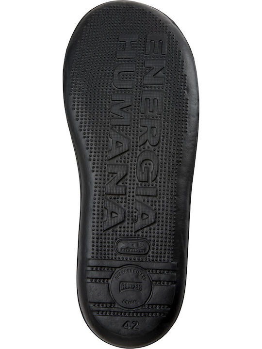 Beetle Sneakers Gray