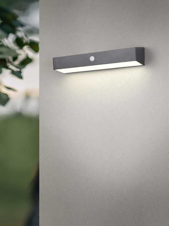 Trio Lighting Επιτοίχιο Εξωτερικό Φωτιστικό