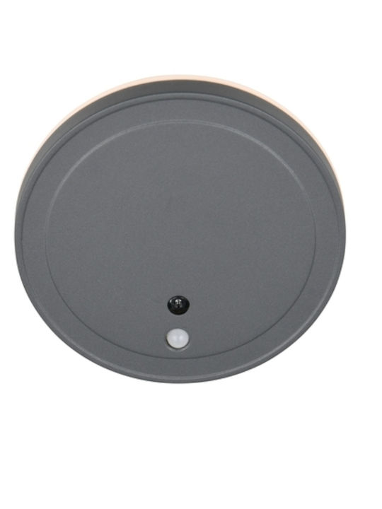 Trio Lighting Lumină de exterior montată pe perete
