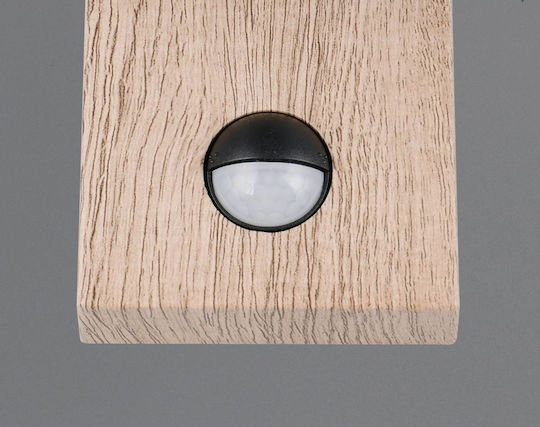 Trio Lighting Sambesi Επιτοίχιο Εξωτερικό Φωτιστικό