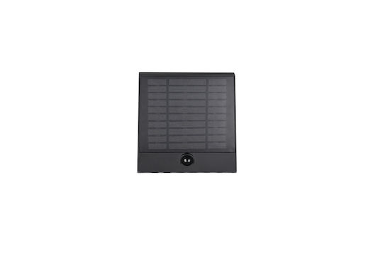 Trio Lighting Επιτοίχιο Εξωτερικό Φωτιστικό
