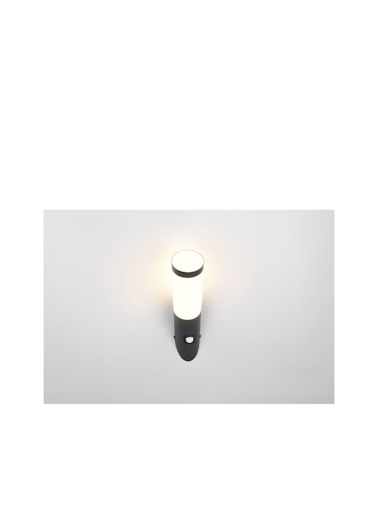 Trio Lighting Επιτοίχιο Εξωτερικό Φωτιστικό