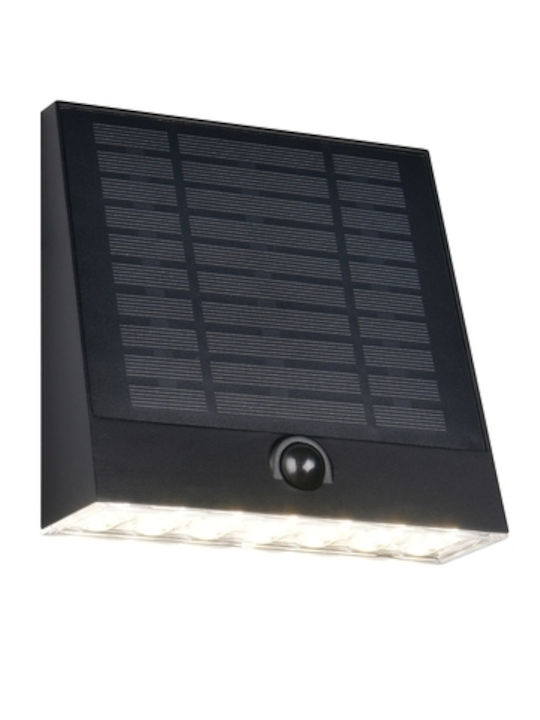 Trio Lighting Επιτοίχιο Εξωτερικό Φωτιστικό