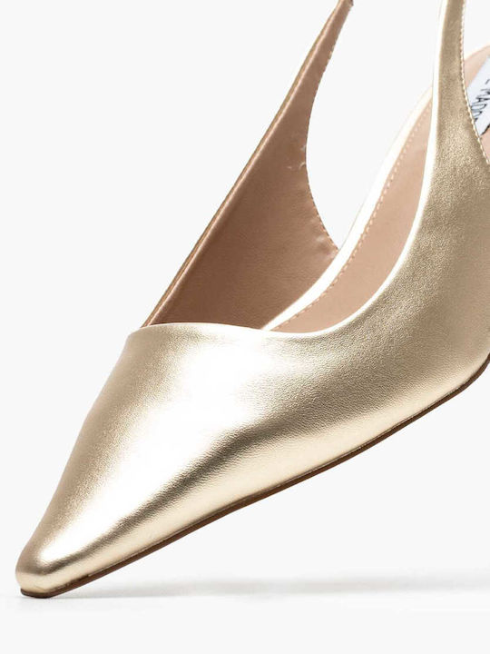 Steve Madden